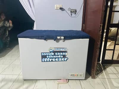 Pel Deep Freezer
