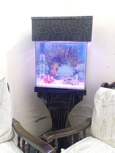 Aquarium complete for sale