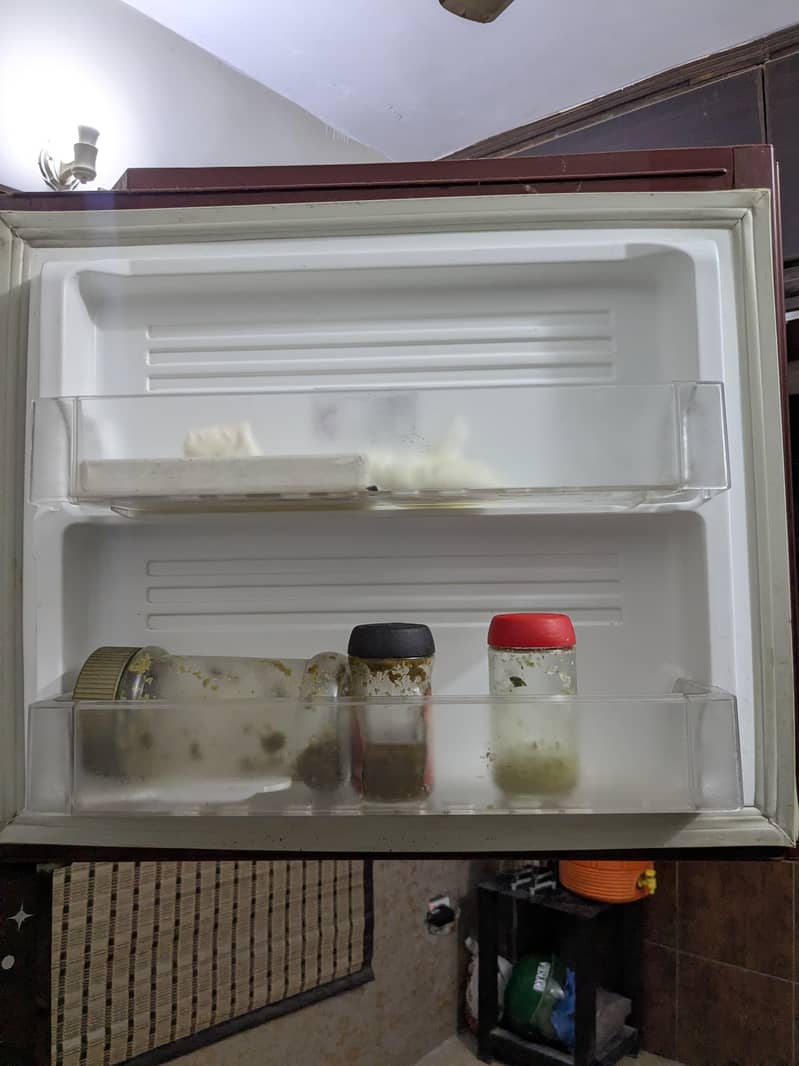 refrigerator 3