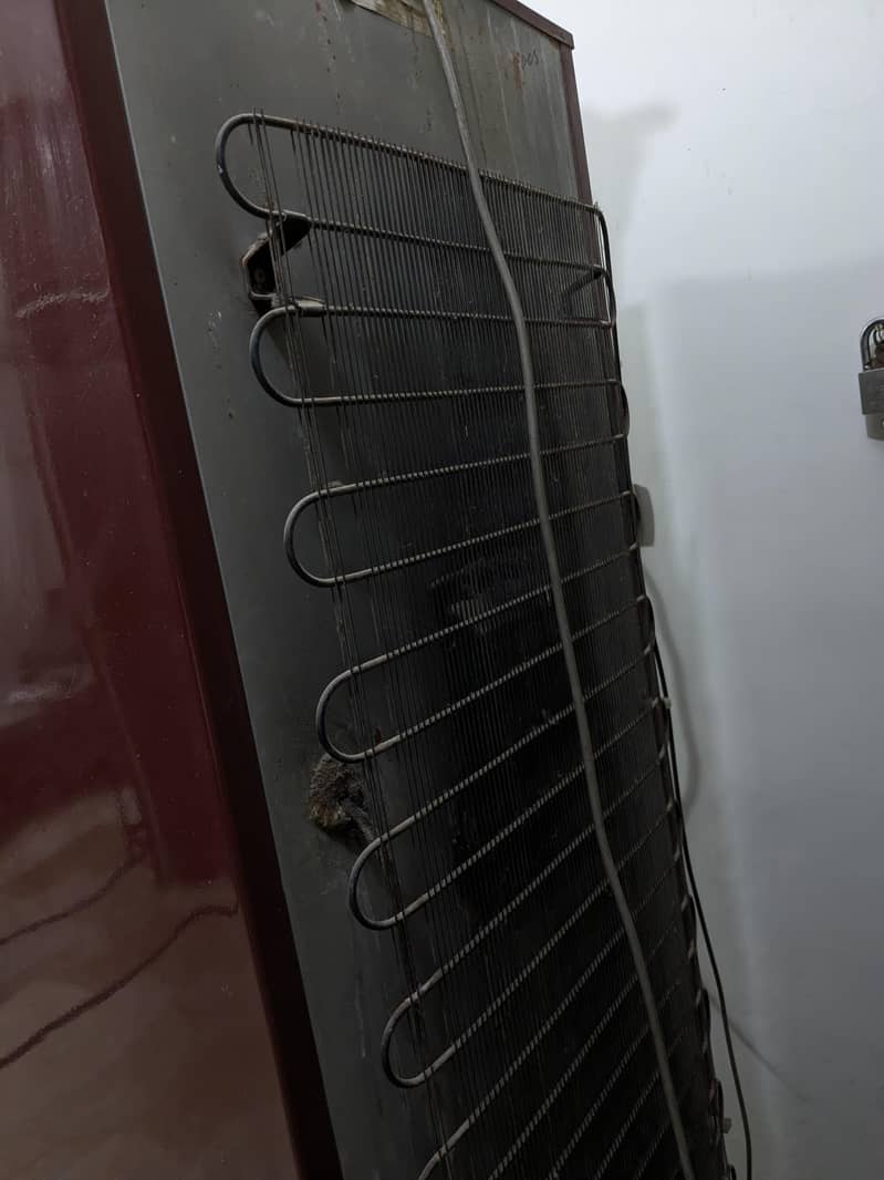 refrigerator 4