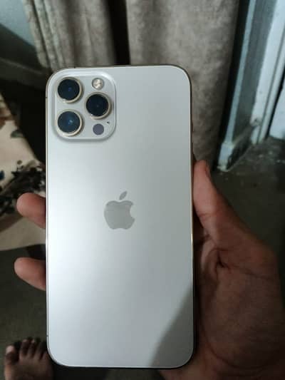 Apple iPhone 12 Pro Max