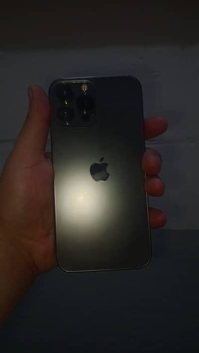 Apple iPhone 13 Pro Max