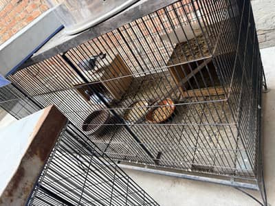Two 2 pigeon cage for sale heavy weight