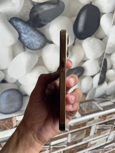 Apple iPhone 13 Pro