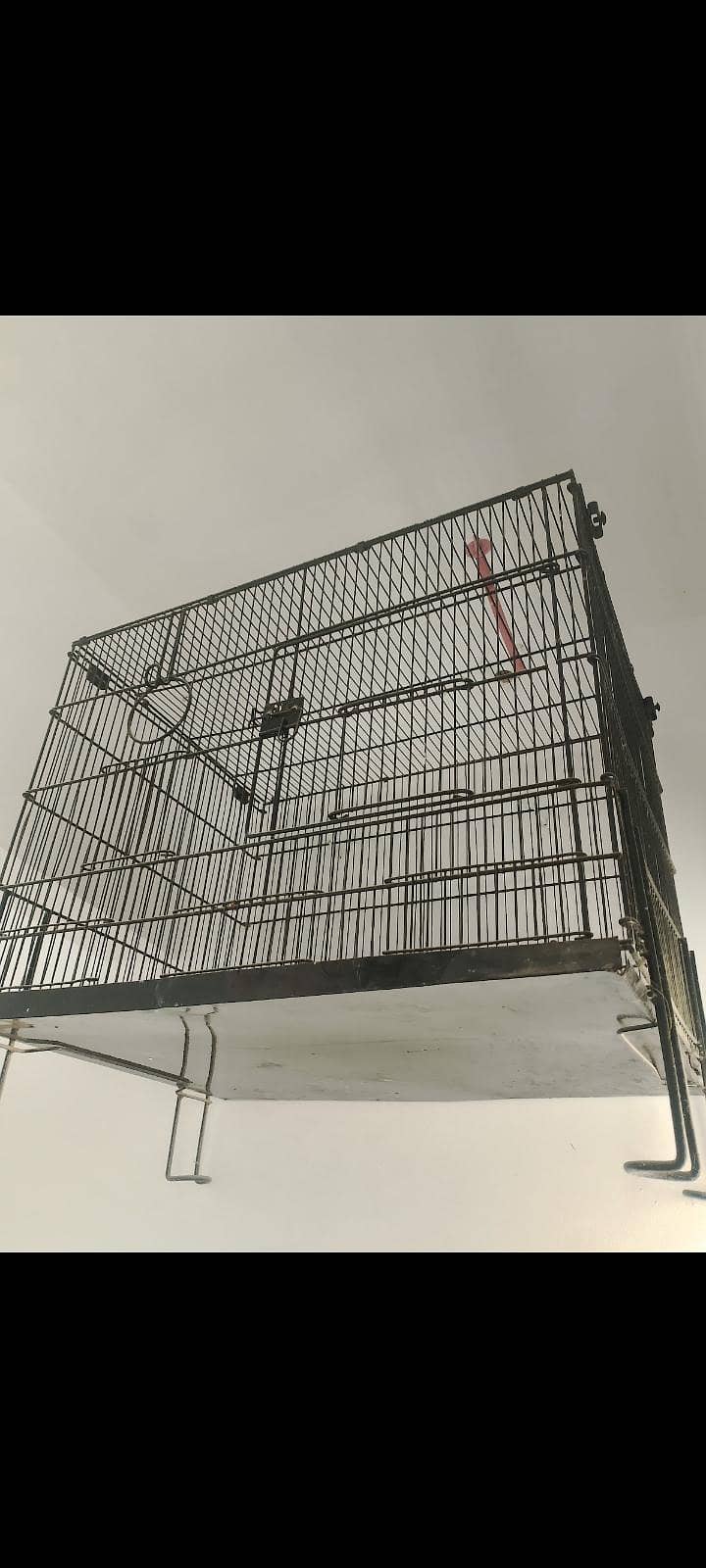 new condition 1
