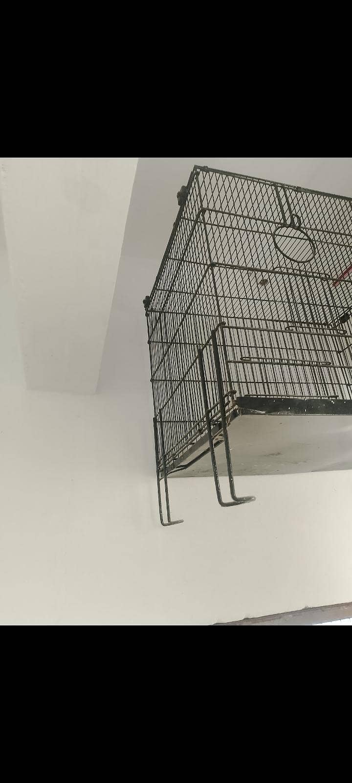 new condition 2