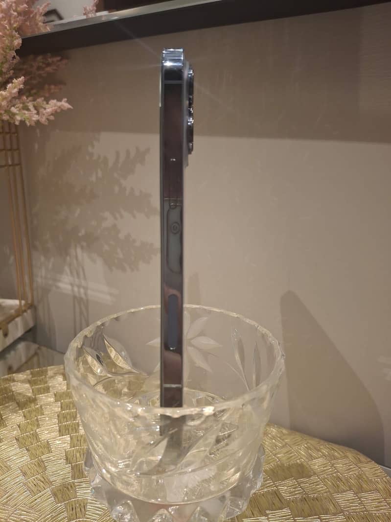 Apple iPhone 13 Pro Max 1