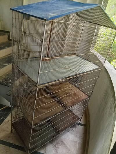 BIRD CAGE