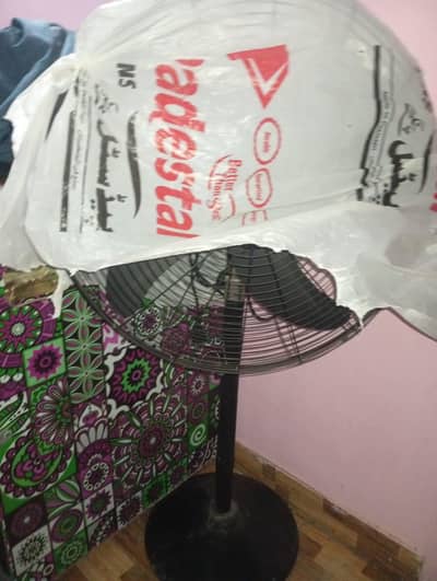 pedestal fan