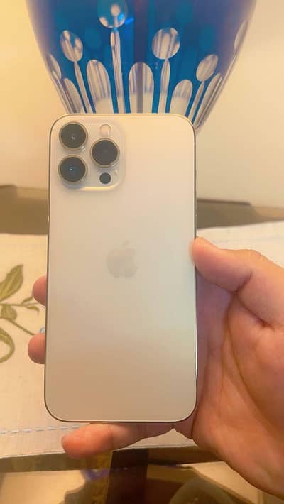iPhone 13 Pro Max PTA 1 TB Waterpack 96% Battery