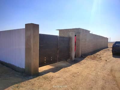 Cattle farm house