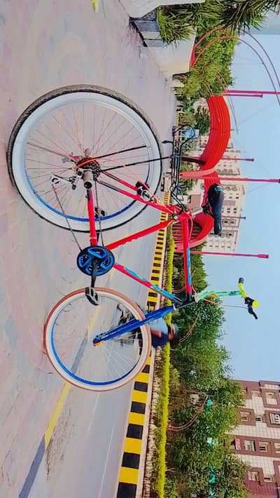 phoenix cycle