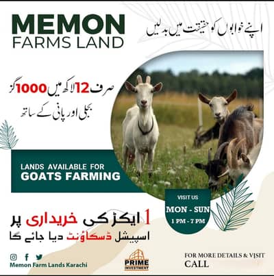 Goat farm land