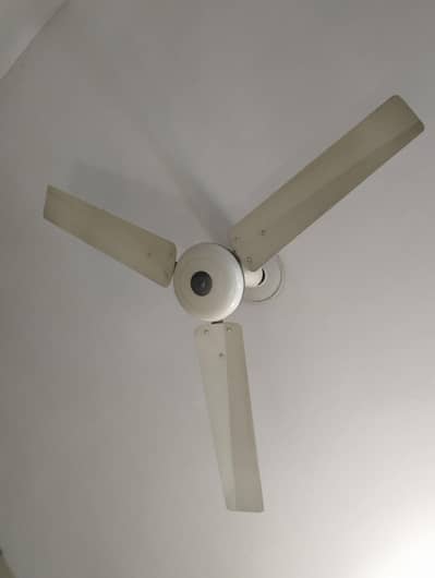 2 GFC Ceiling Fans