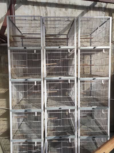 Lovebirds Cages