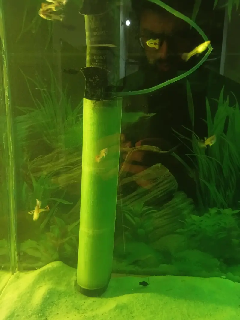 Aquarium with accessories for sale — photo 2