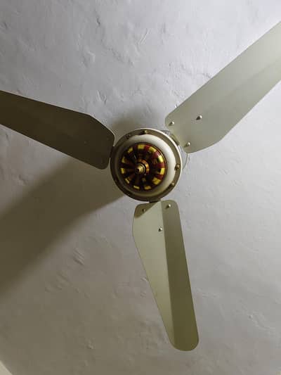 total fans 3 condition 10 by 10