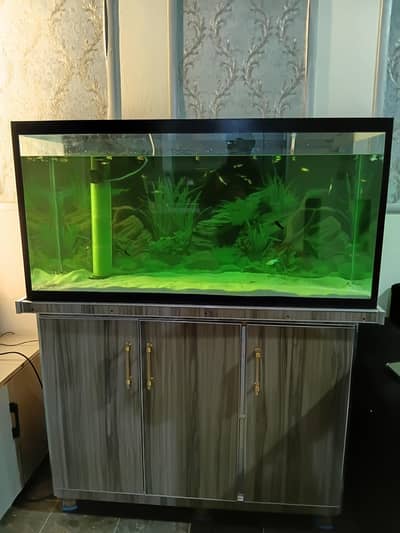 Aquarium available with all accessories