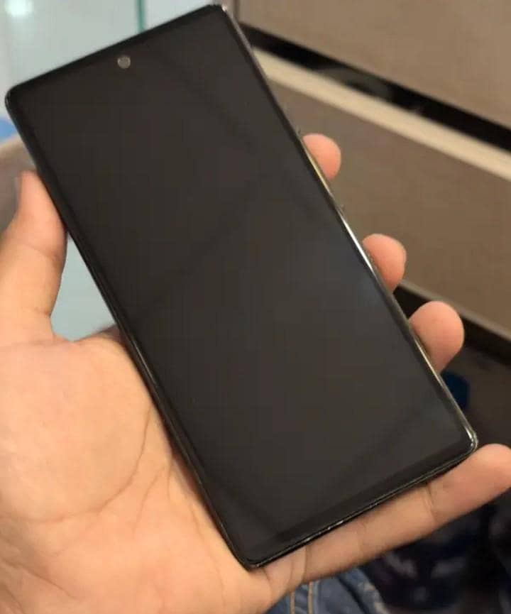 google pixel 6 panel 1