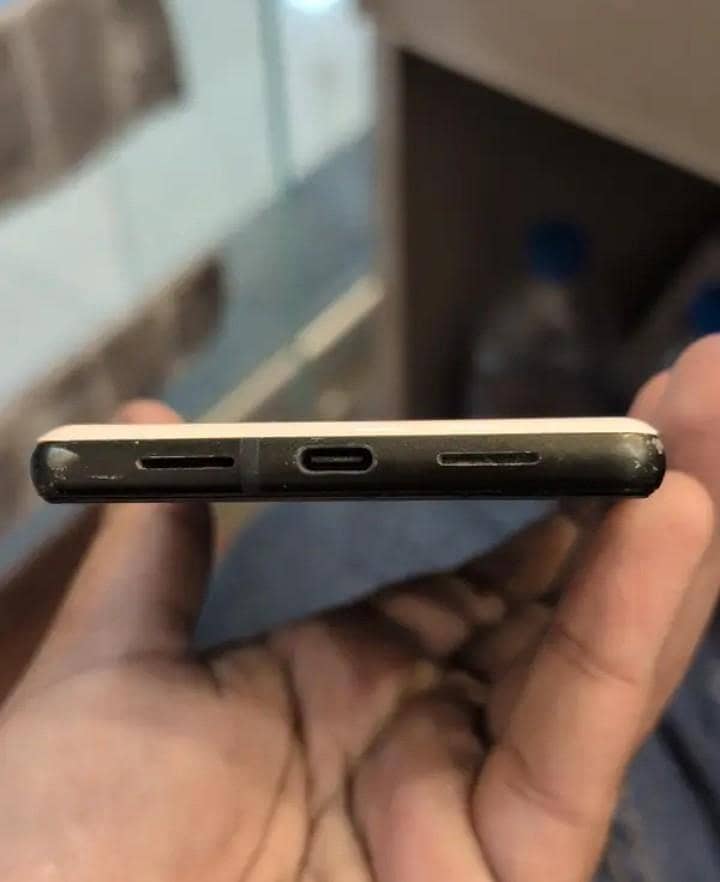 google pixel 6 panel 2