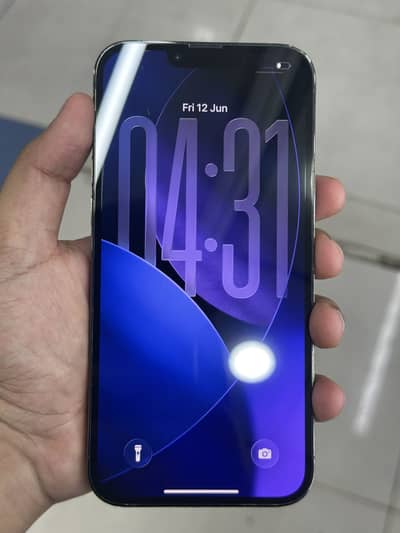 Apple iPhone 13 Pro Max