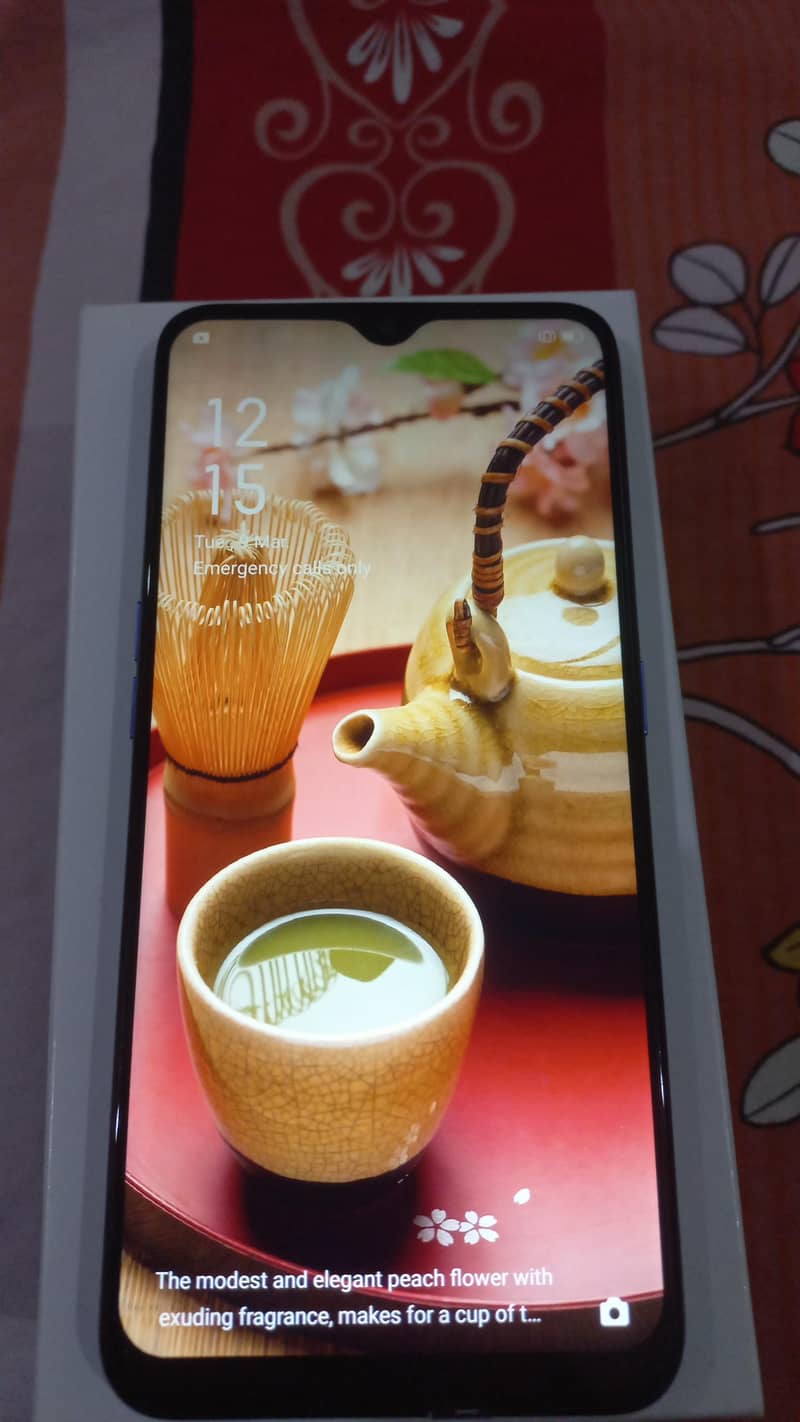 oppof11 1