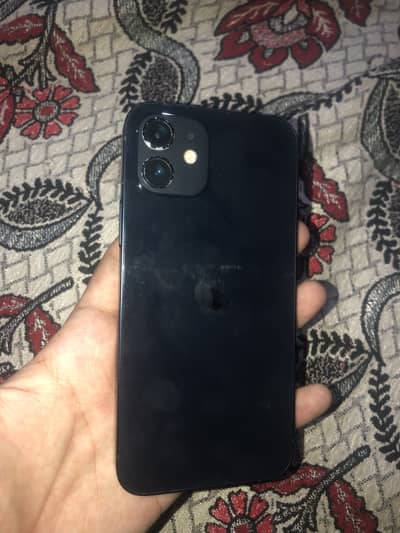 Apple iPhone 12 water pack