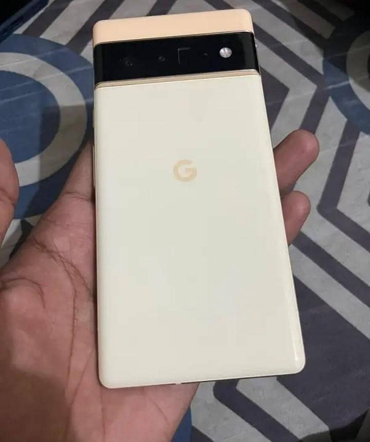 google pixel 6 pro panel 0