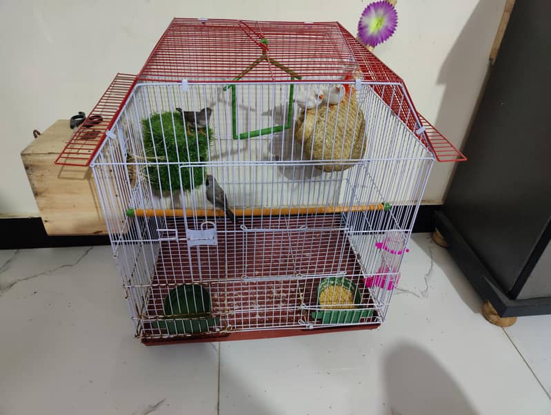 finches 0