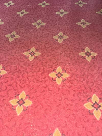 room carpet for sale