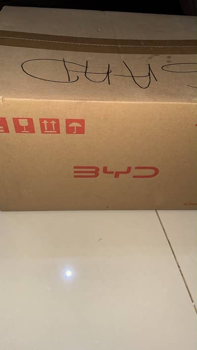 BYD charger