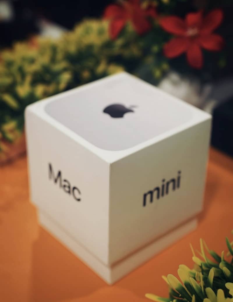 Mac Mini M4 (Active Last Week) 2