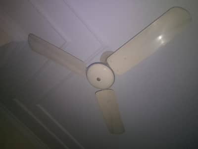 Ceiling fans
