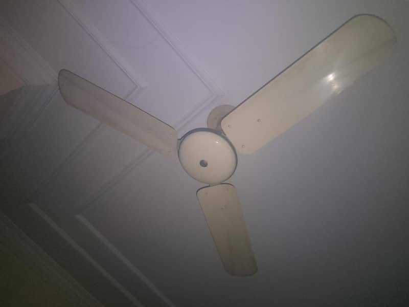 Ceiling fans 0