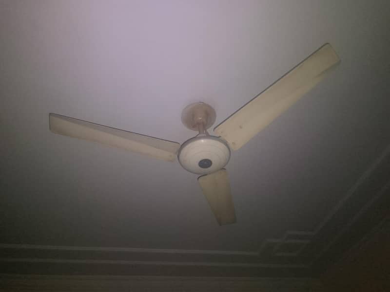 Ceiling fans 1