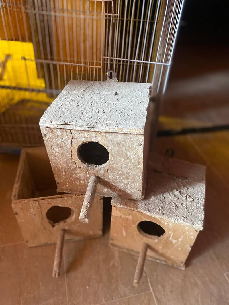 2 PORTION CAGE with 3 boxes 3