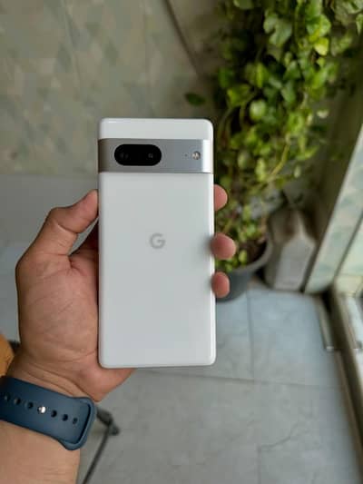 Google Pixel 7 Official PTA Approved