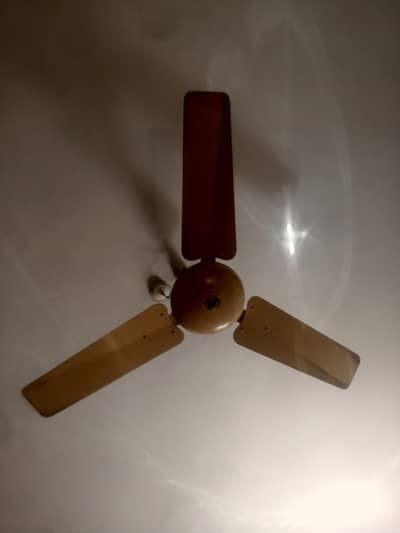 Pak fan and SK fan normal AC celling fan for sale