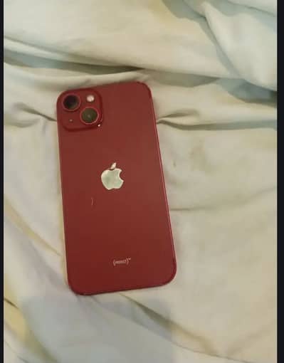 Apple iPhone 13 Watersealed