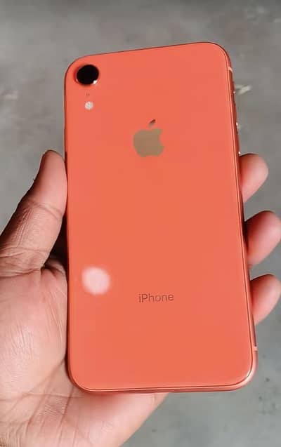 Apple iPhone XR (Exchange possible)