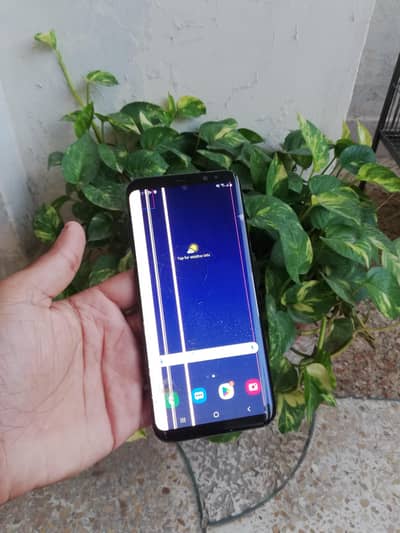 Samsung S8 Plus Official approved All ok