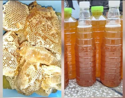 Big bee Desi & Small Bee Sidr Honey