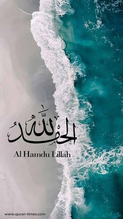 Zain Ali