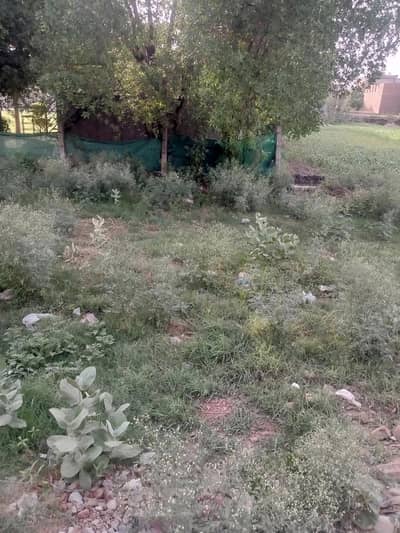 فیصل آباد (202 ر۔ب گٹی) میں 3 مرلے کا شاندار پلاٹ برائے فروخت!