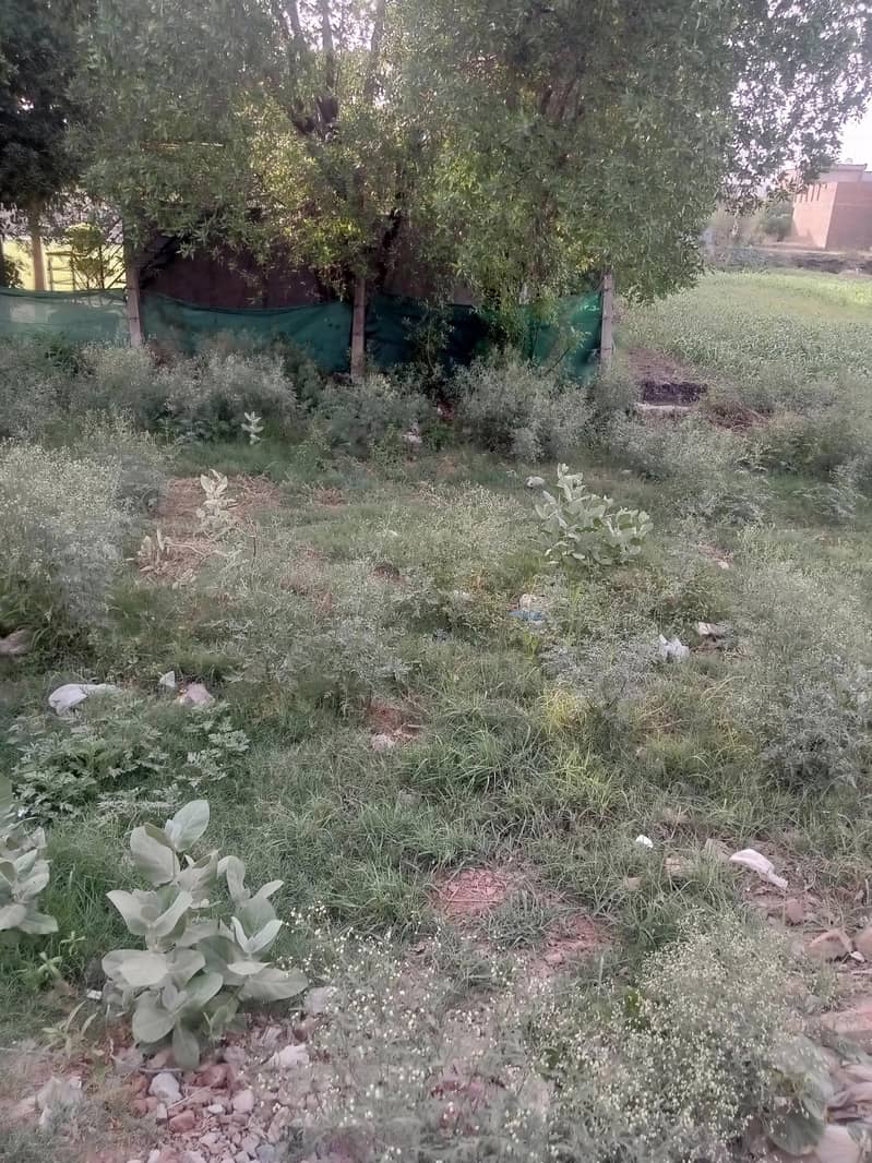 فیصل آباد (202 ر۔ب گٹی) میں 3 مرلے کا شاندار پلاٹ برائے فروخت! 0