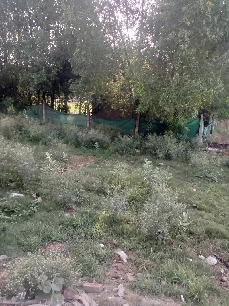فیصل آباد (202 ر۔ب گٹی) میں 3 مرلے کا شاندار پلاٹ برائے فروخت! 1