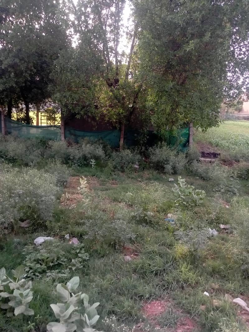 فیصل آباد (202 ر۔ب گٹی) میں 3 مرلے کا شاندار پلاٹ برائے فروخت! 2