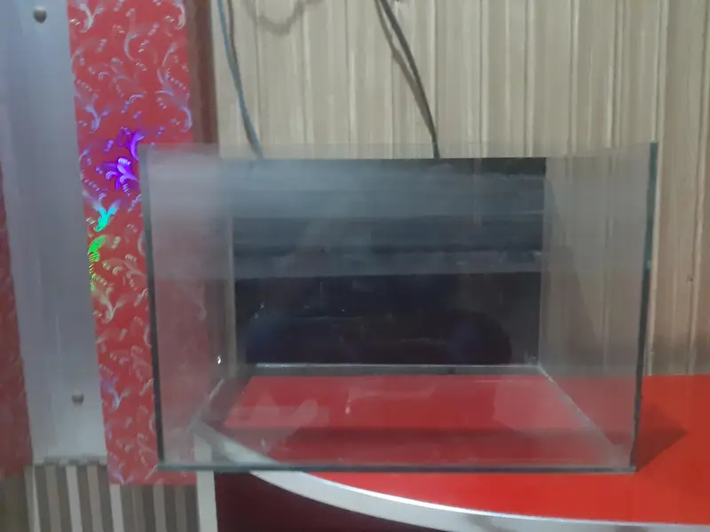 aquarium for sale