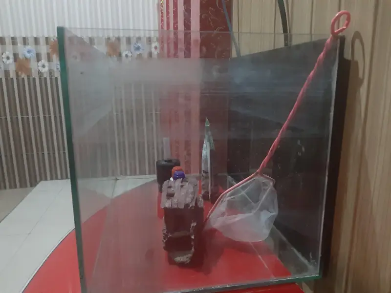 aquarium for sale — photo 3