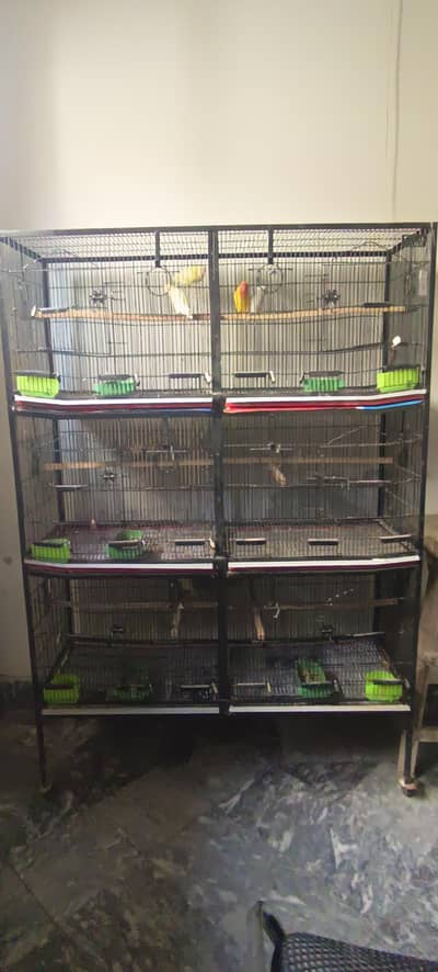 birds cage